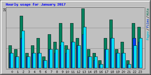 Hourly usage for January 2017